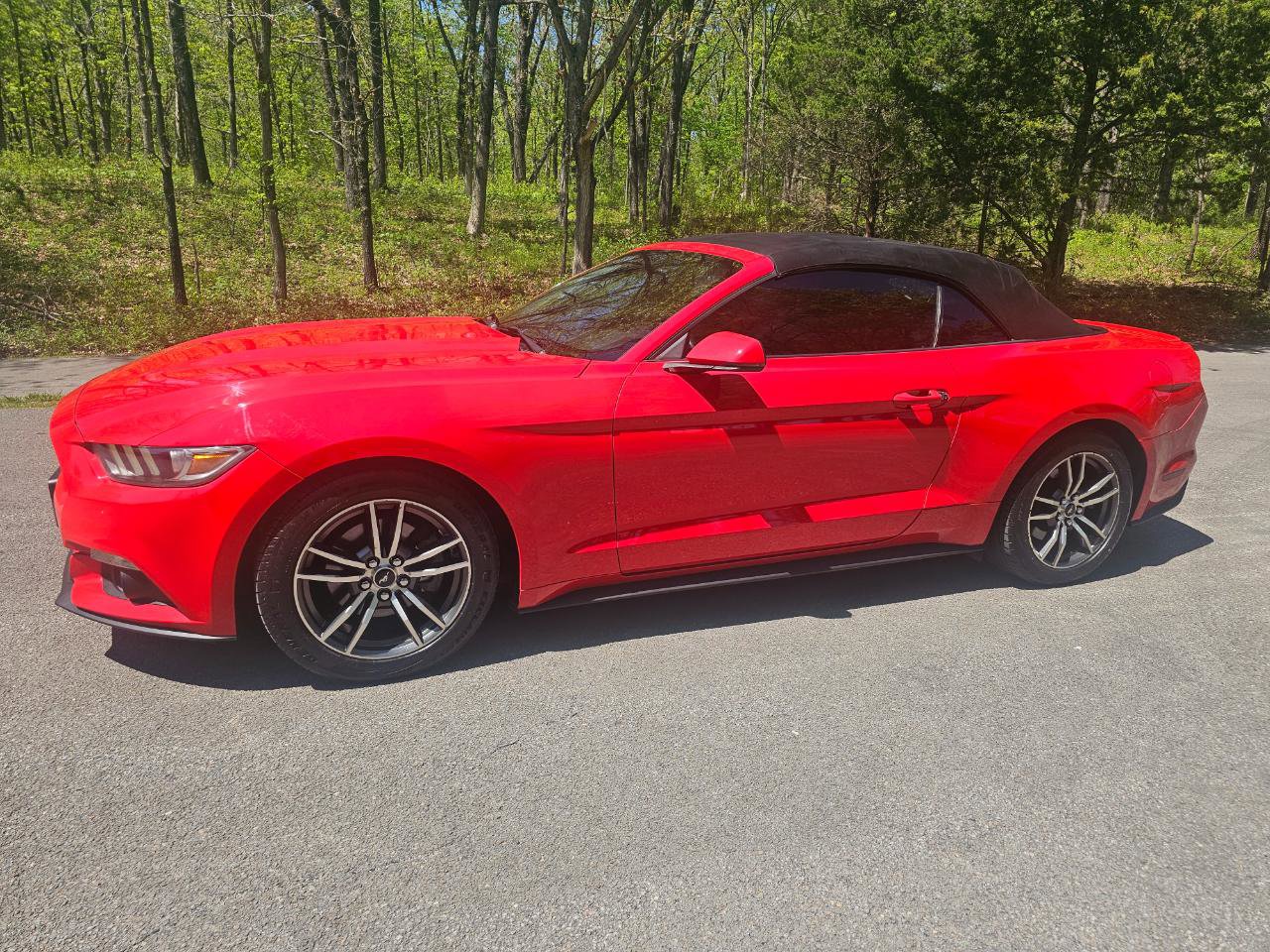 Used 2016 Ford Mustang Premium RWD image 11