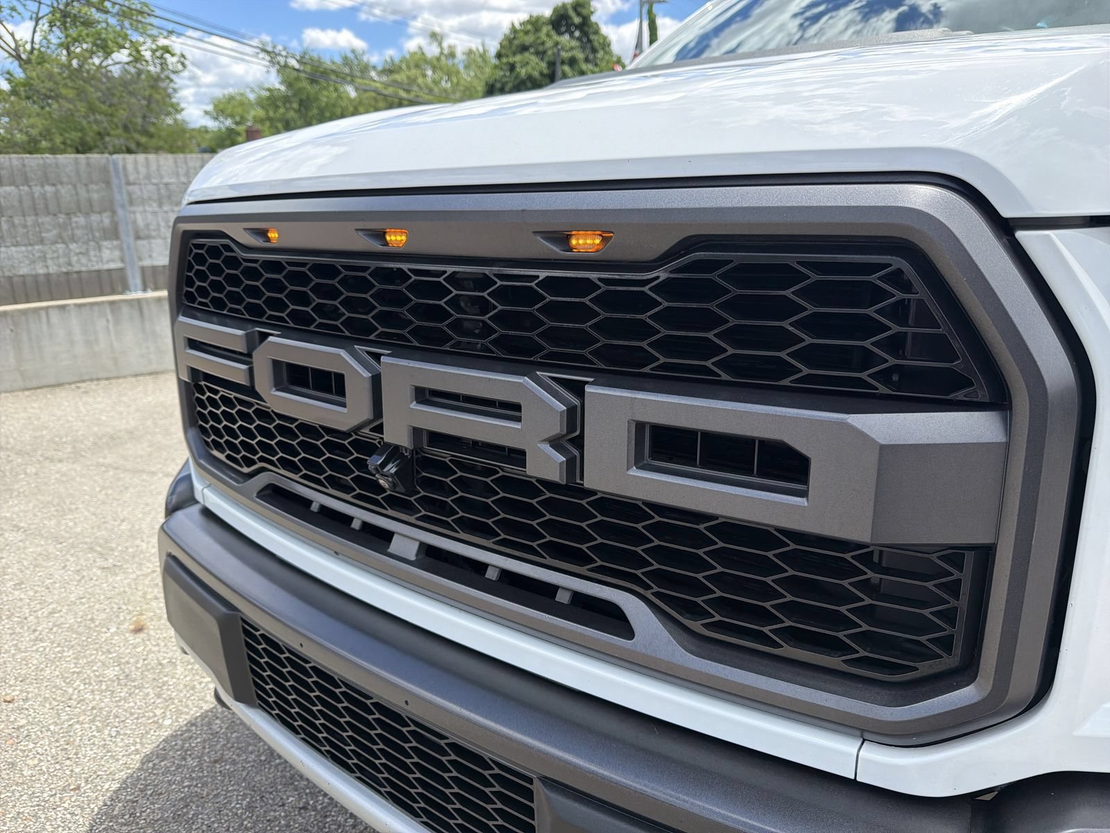Used 2019 Ford F150 Raptor w/ Equipment Group 802A Luxury AWD/4WD image 16