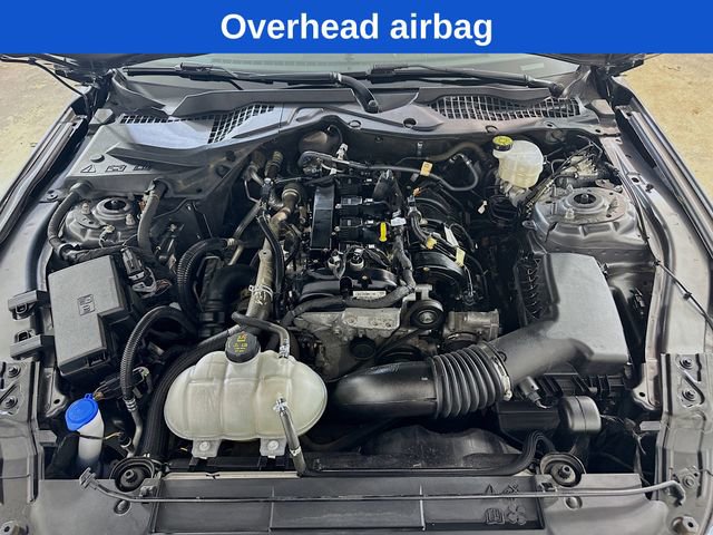 Certified 2023 Ford Mustang EcoBoost w/ Equipment Group 101A image 30