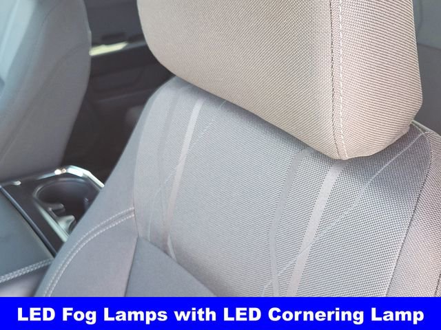 New 2026 Ford F150 STX w/ Equipment Group 200A image 15