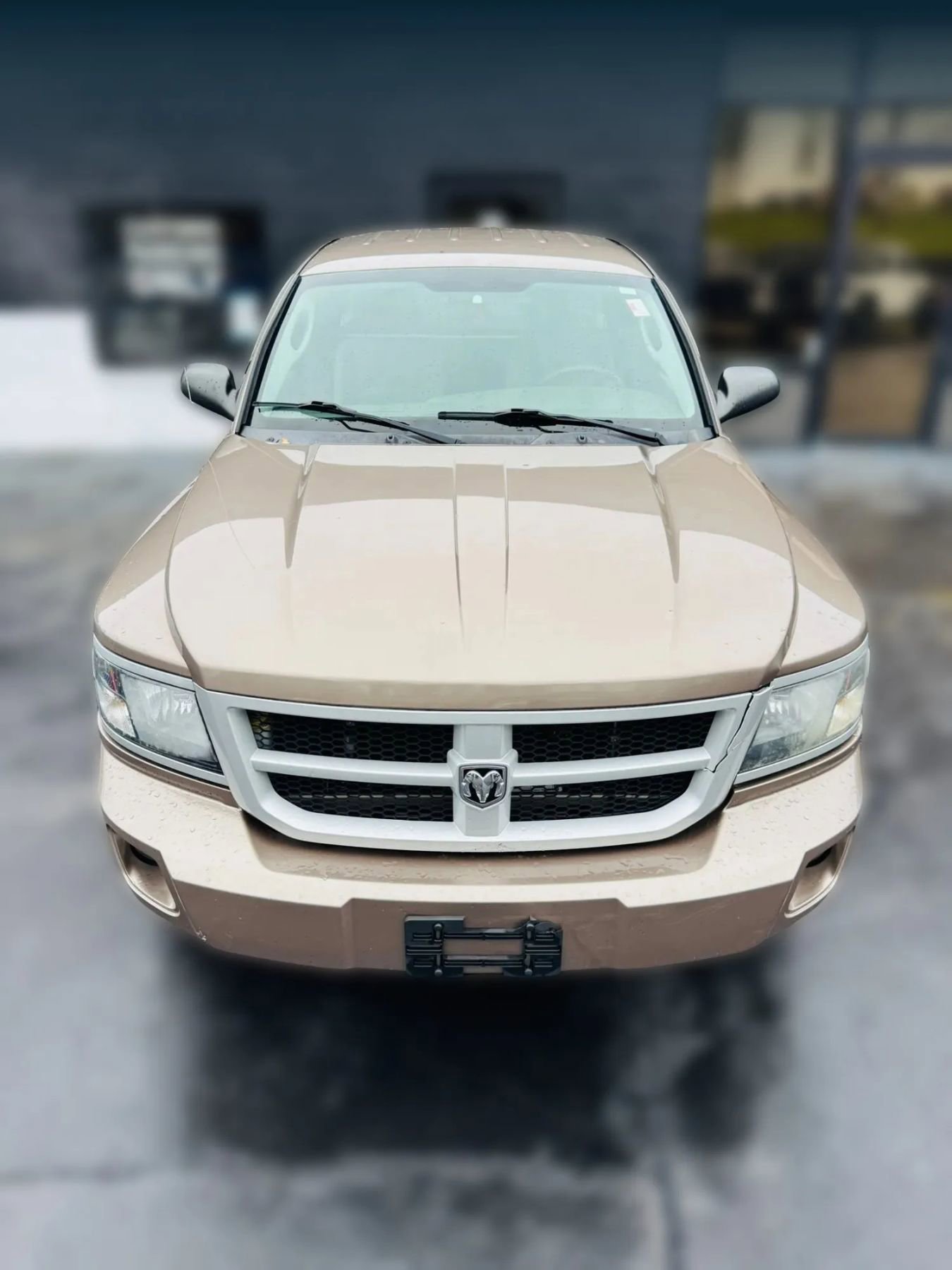 Used 2010 Dodge Dakota Big Horn image 9
