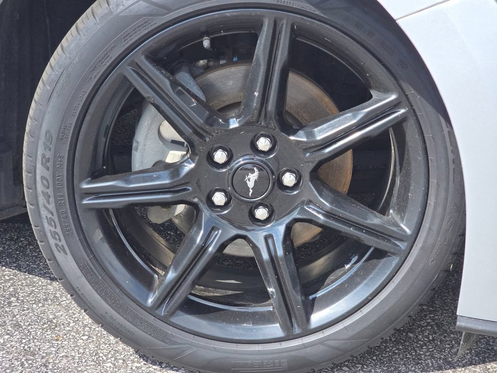 Used 2019 Ford Mustang Coupe w/ Equipment Group 101A RWD image 6