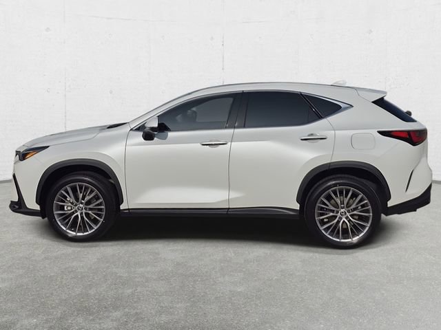 Used 2024 Lexus NX 350 AWD w/ Cold Area Package image 8