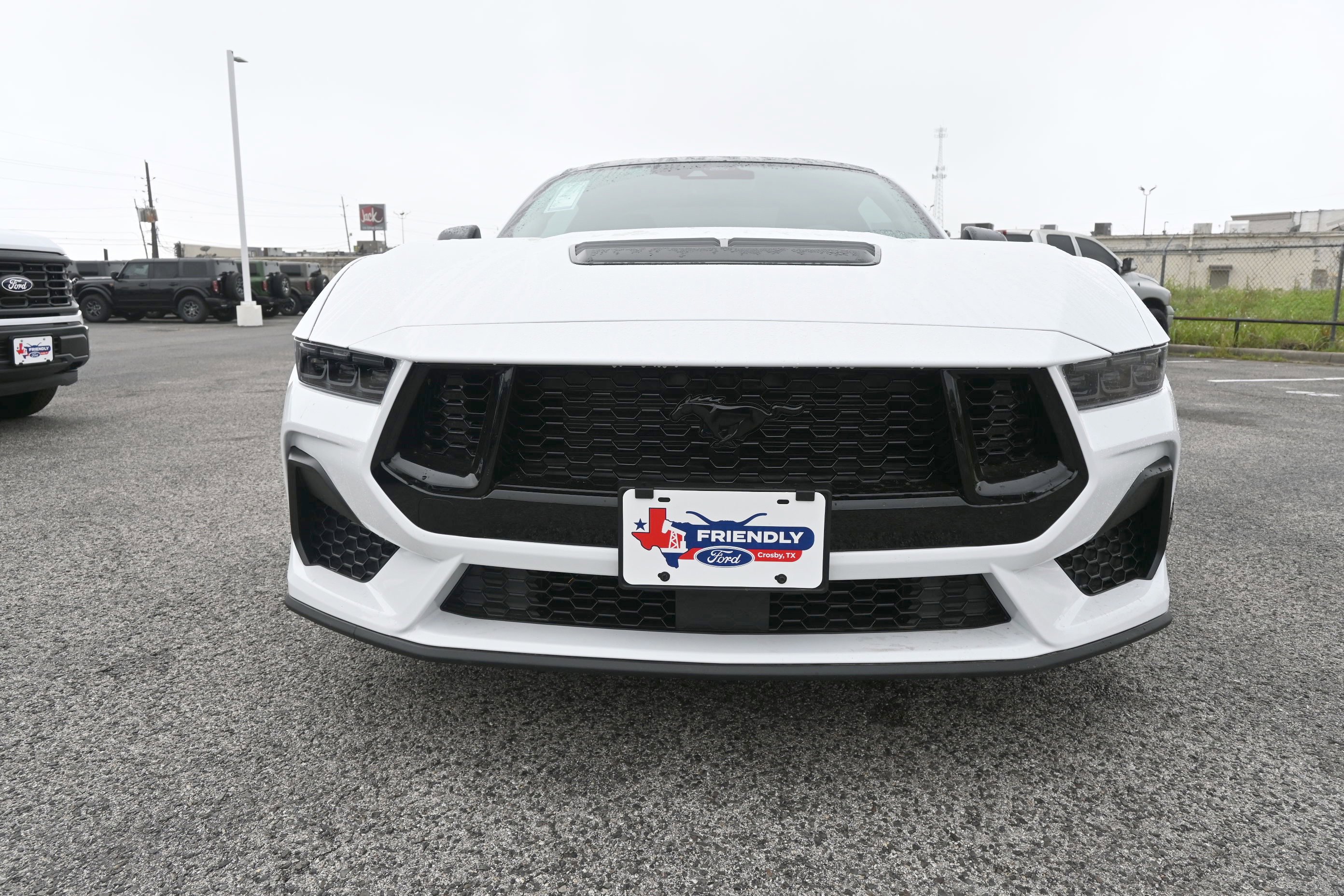 New 2026 Ford Mustang GT Premium w/ Mustang Nite Pony Package image 9