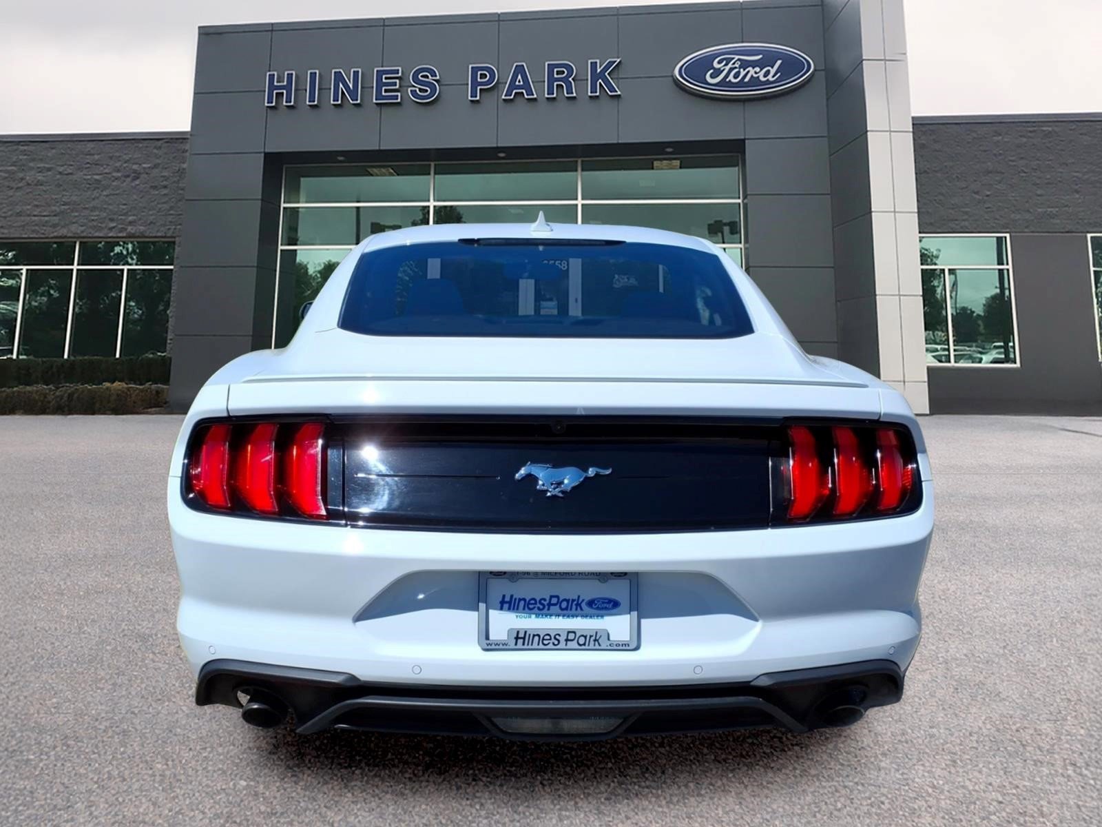 Used 2020 Ford Mustang Premium w/ Equipment Group 201A RWD image 4