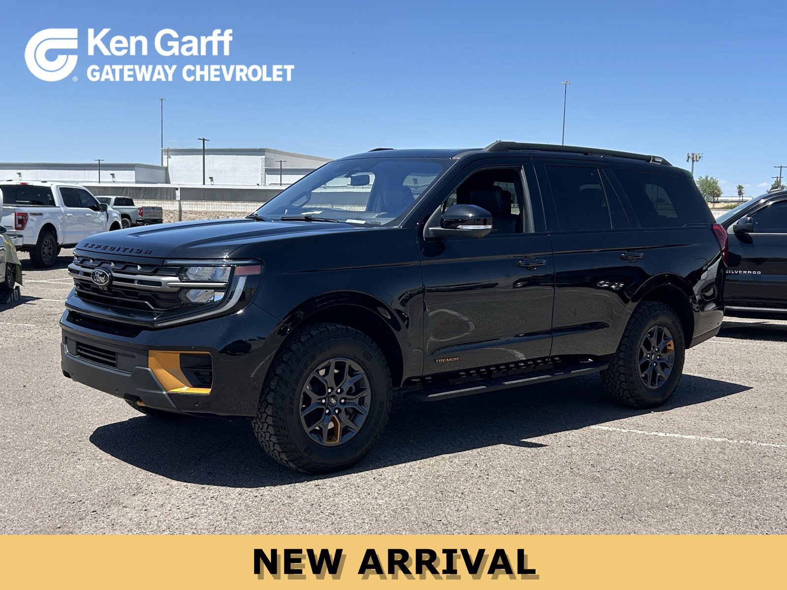 Used 2025 Ford Expedition Tremor AWD/4WD image 1