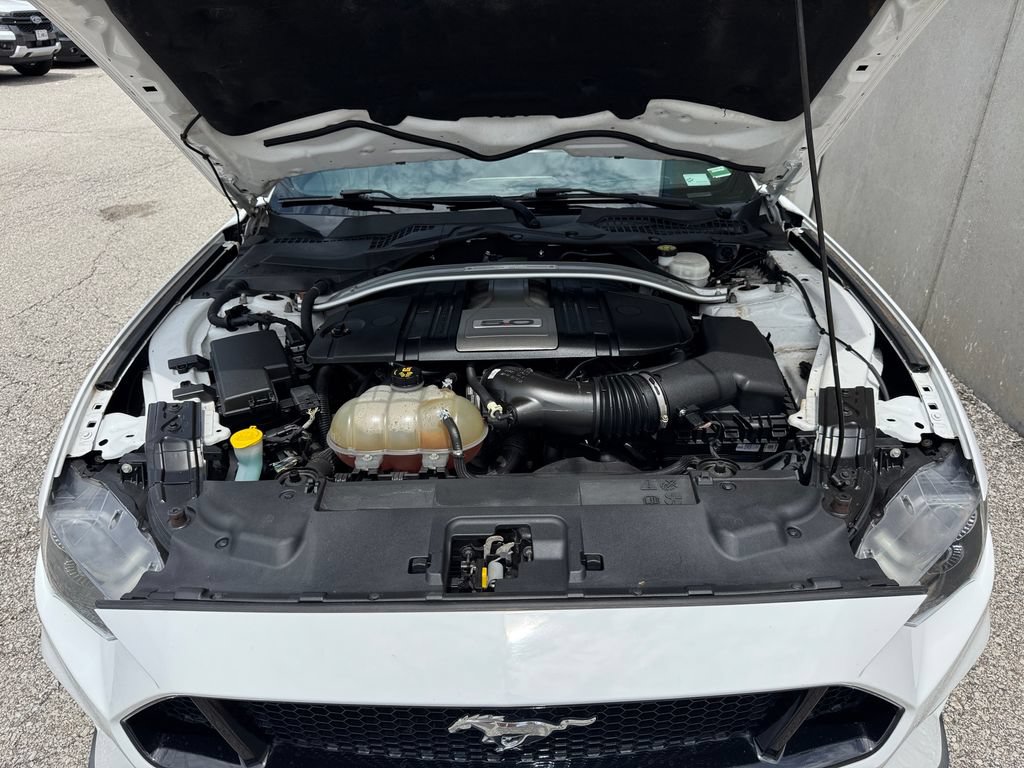 Used 2019 Ford Mustang GT Premium RWD image 18