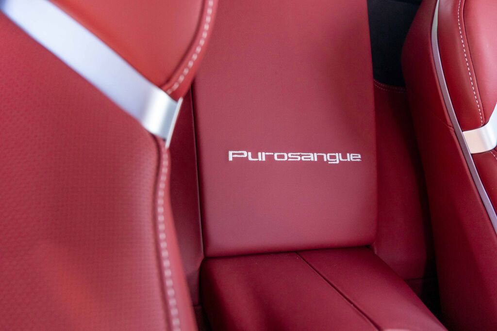 Certified 2025 Ferrari Purosangue image 13