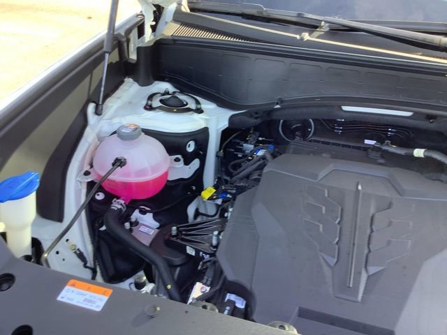 New 2026 Hyundai Palisade Calligraphy image 18