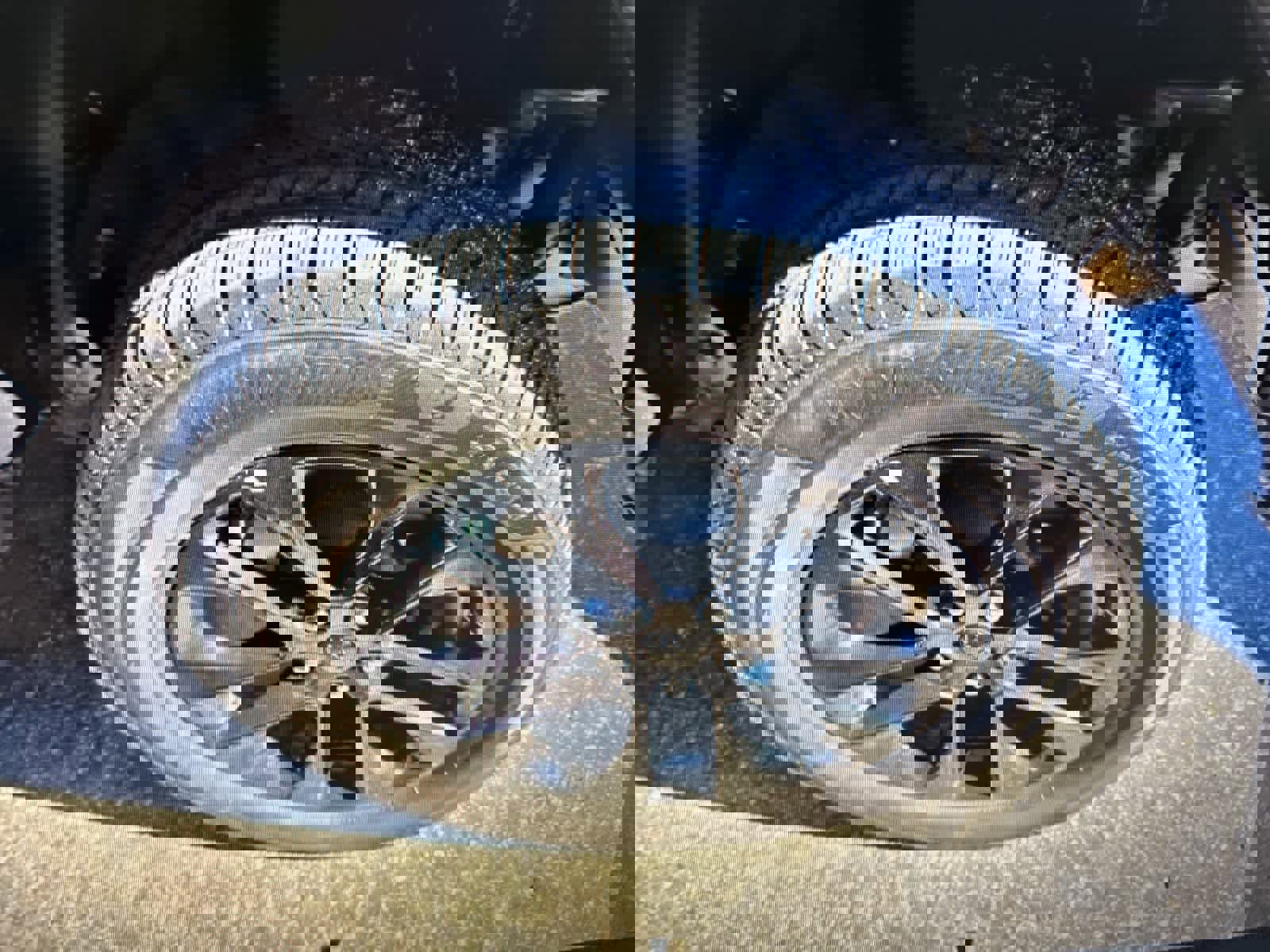 Used 2021 Jeep Wrangler Unlimited Sahara w/ Cold Weather Group image 14