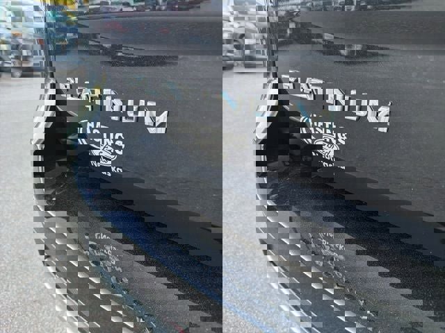 New 2025 Ford Expedition Max Platinum w/ Platinum Ultimate Package image 12