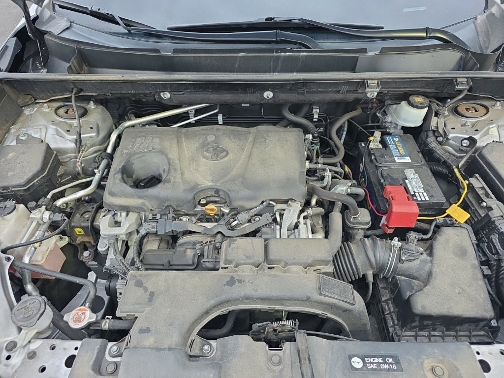 Used 2019 Toyota RAV4 LE image 12