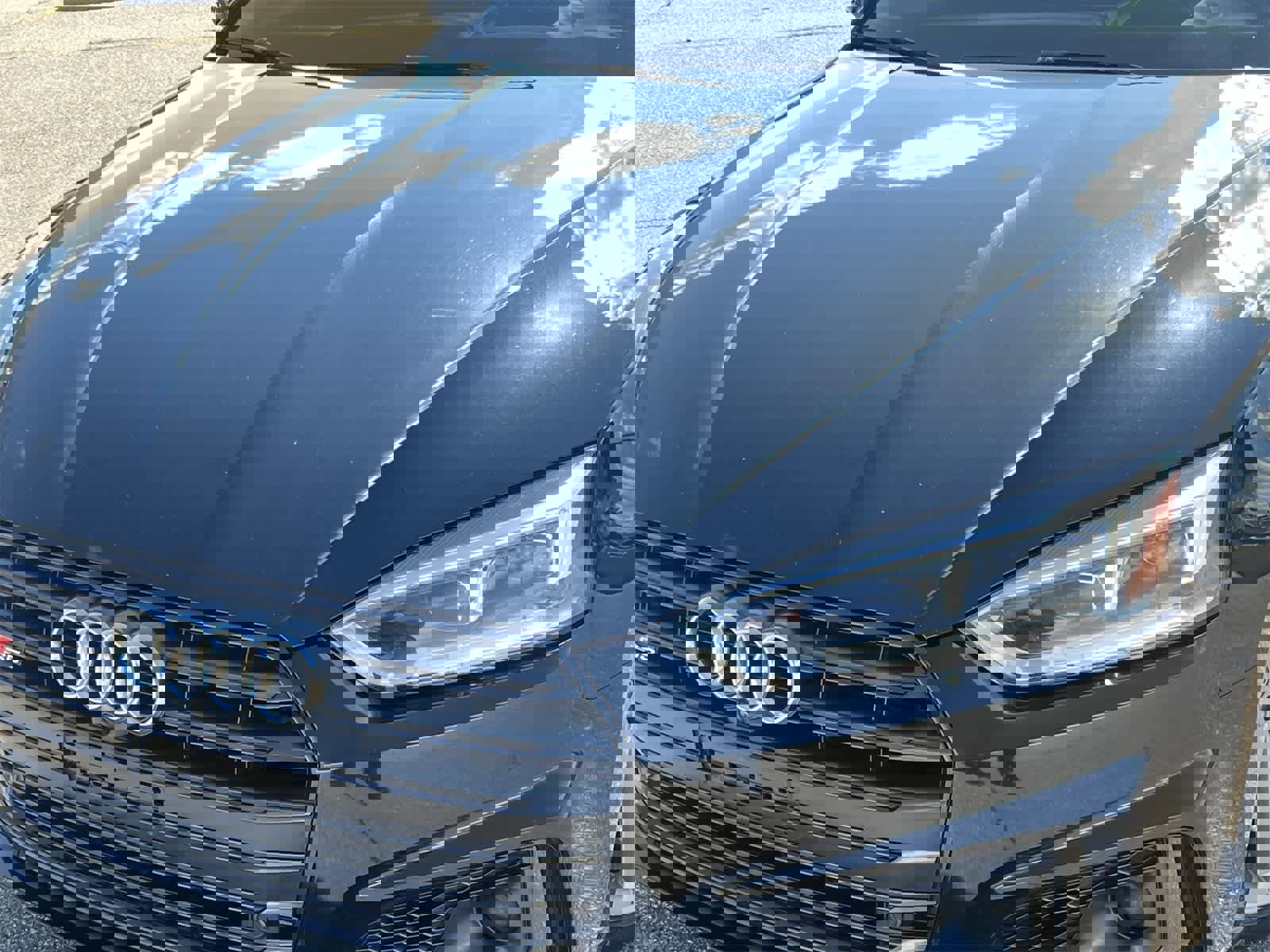 Used 2019 Audi S5 Prestige w/ S Sport Package image 11