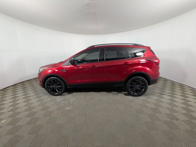 Used 2019 Ford Escape SE FWD image 16
