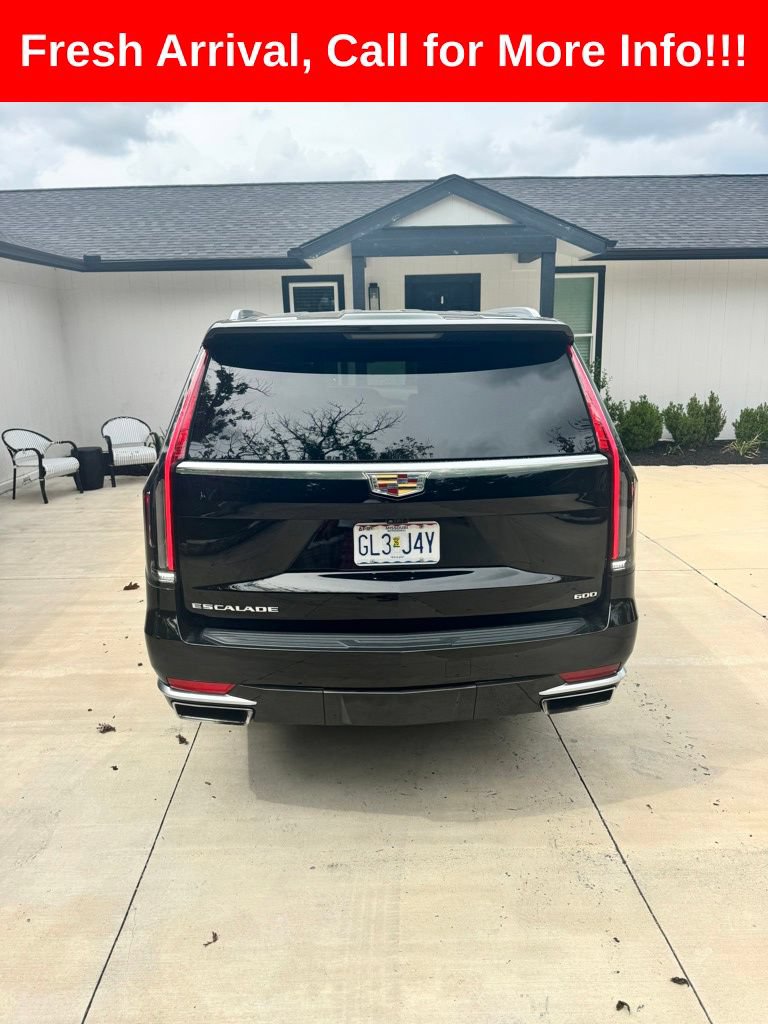 Used 2024 Cadillac Escalade Premium Luxury Platinum AWD/4WD image 6