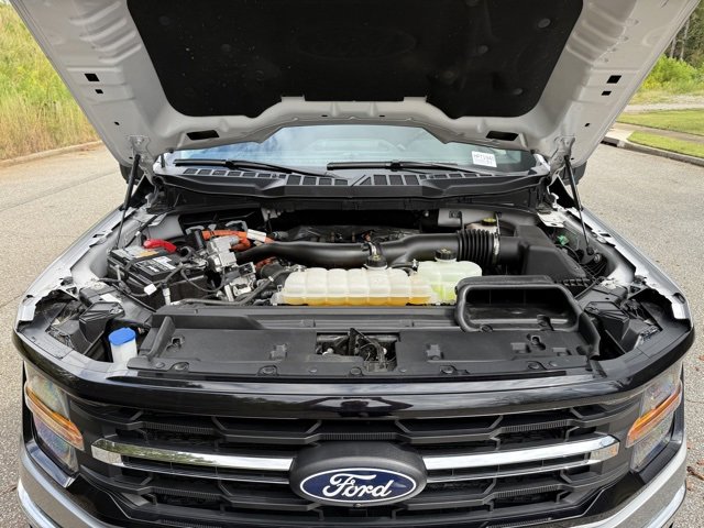 Used 2024 Ford F150 XLT w/ Mobile Office Package image 28