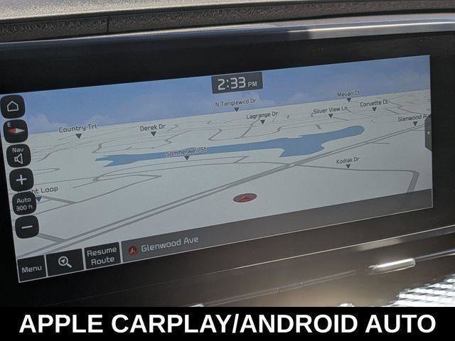 Used 2022 Kia Carnival SX Prestige image 14