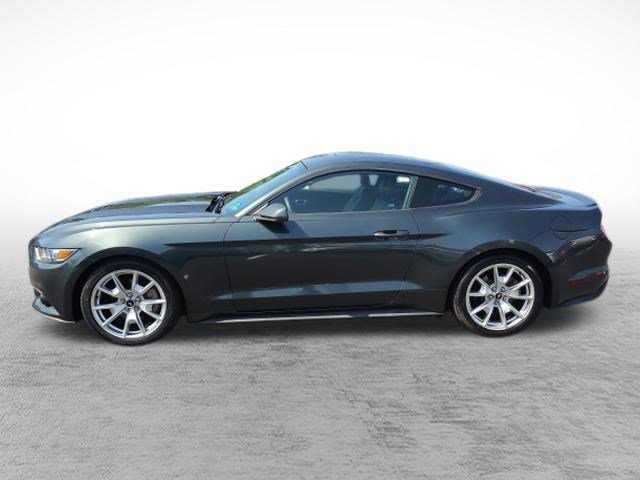 Used 2015 Ford Mustang Premium w/ 50 Years Appearance Package RWD image 8
