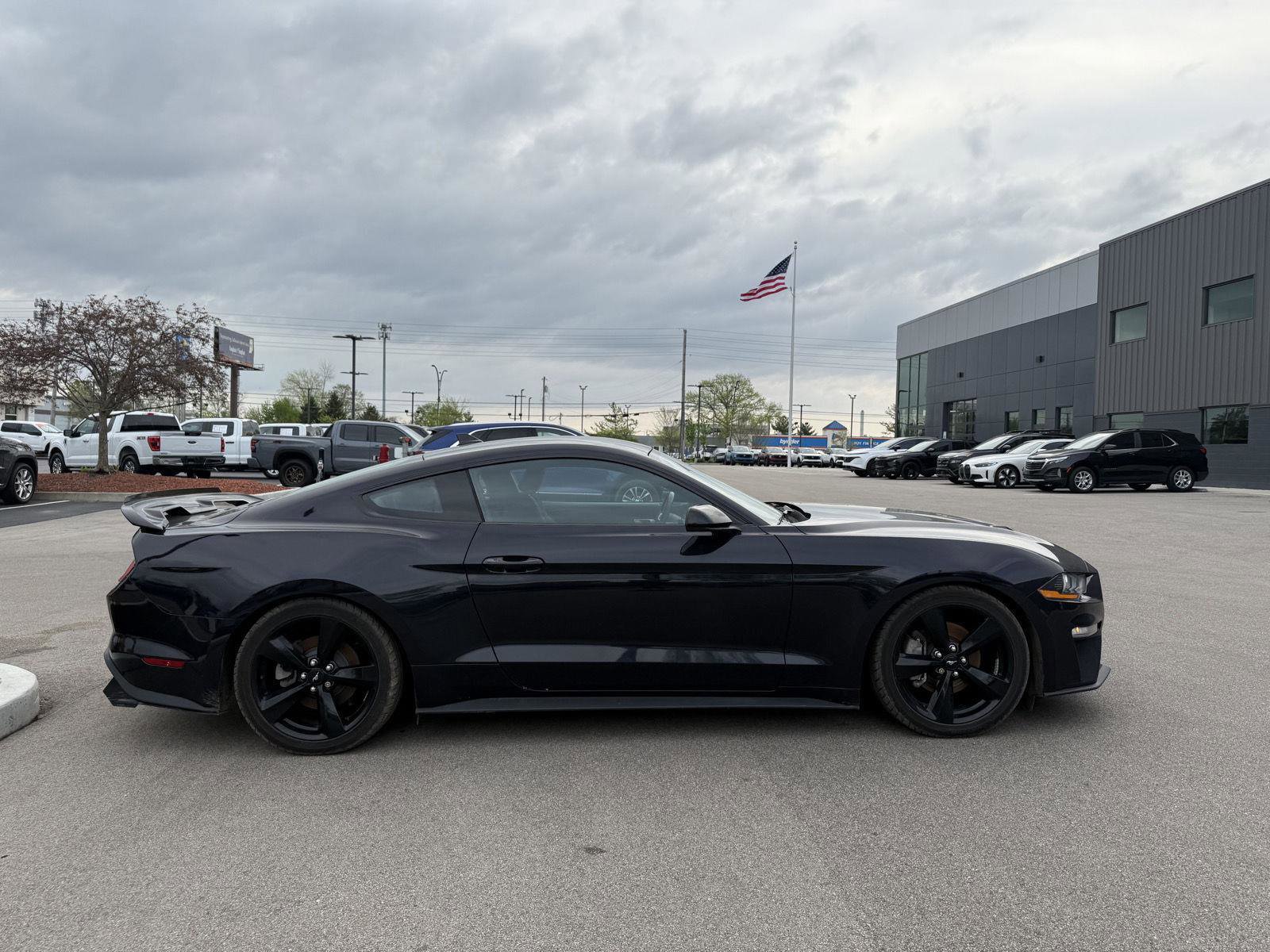 Used 2023 Ford Mustang Coupe w/ Mustang Nite Pony Package RWD image 2