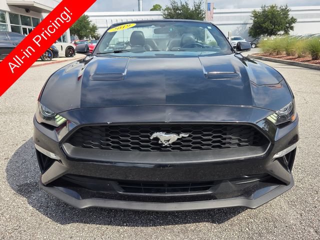 Used 2019 Ford Mustang Premium RWD image 8