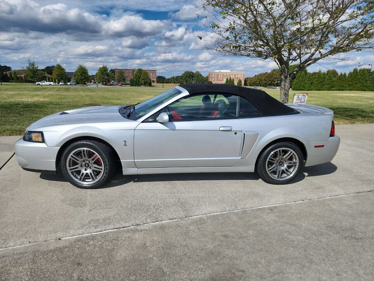 Used 2003 Ford Mustang Cobra image 4
