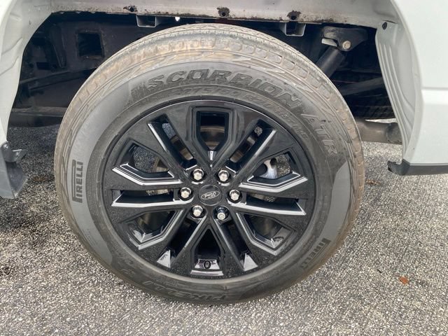 Used 2024 Ford F150 XLT w/ Equipment Group 302A MID AWD/4WD image 11