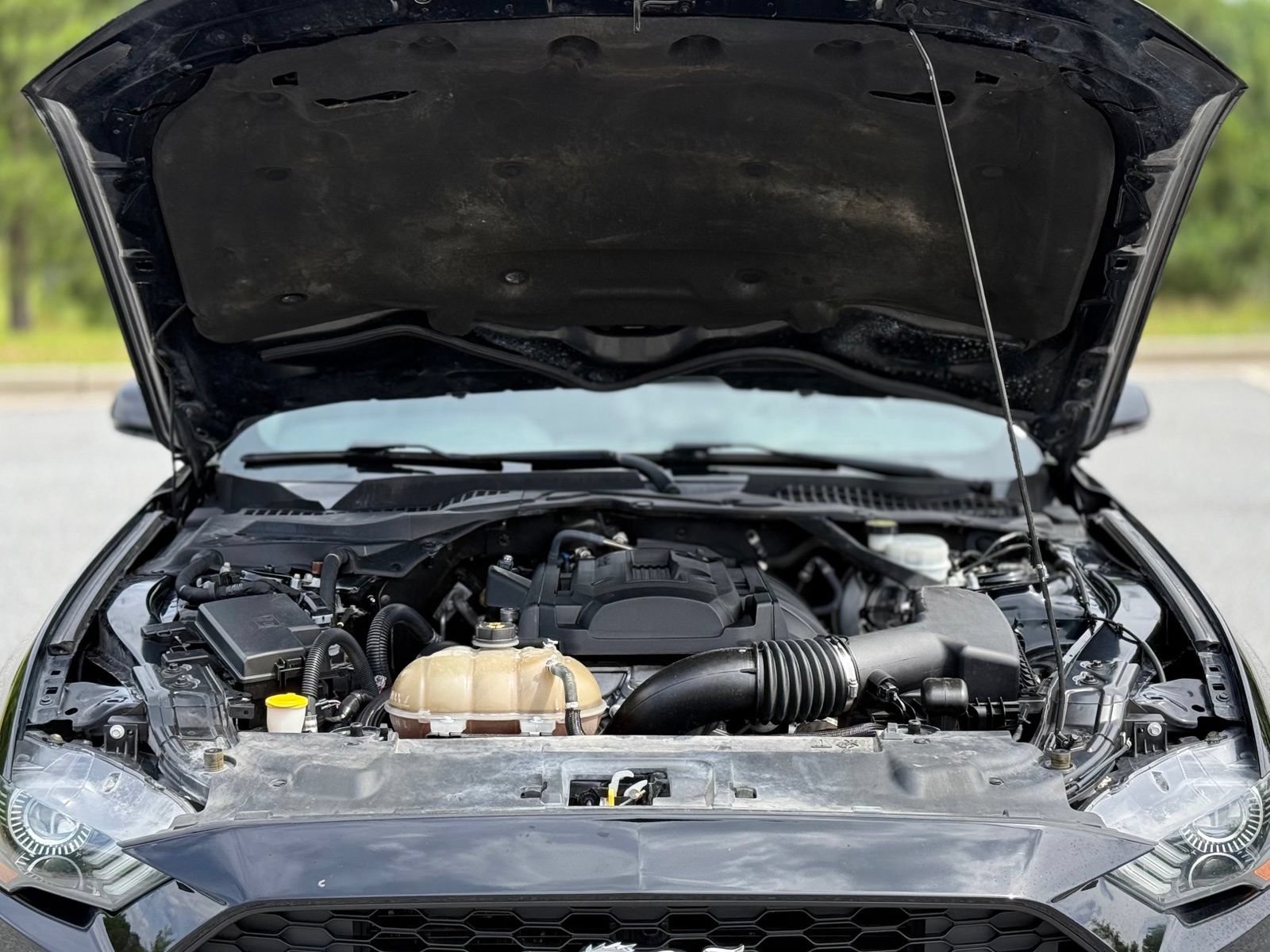 Used 2019 Ford Mustang Premium w/ Equipment Group 201A RWD image 44