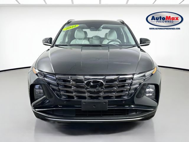 Used 2022 Hyundai Tucson Limited image 7