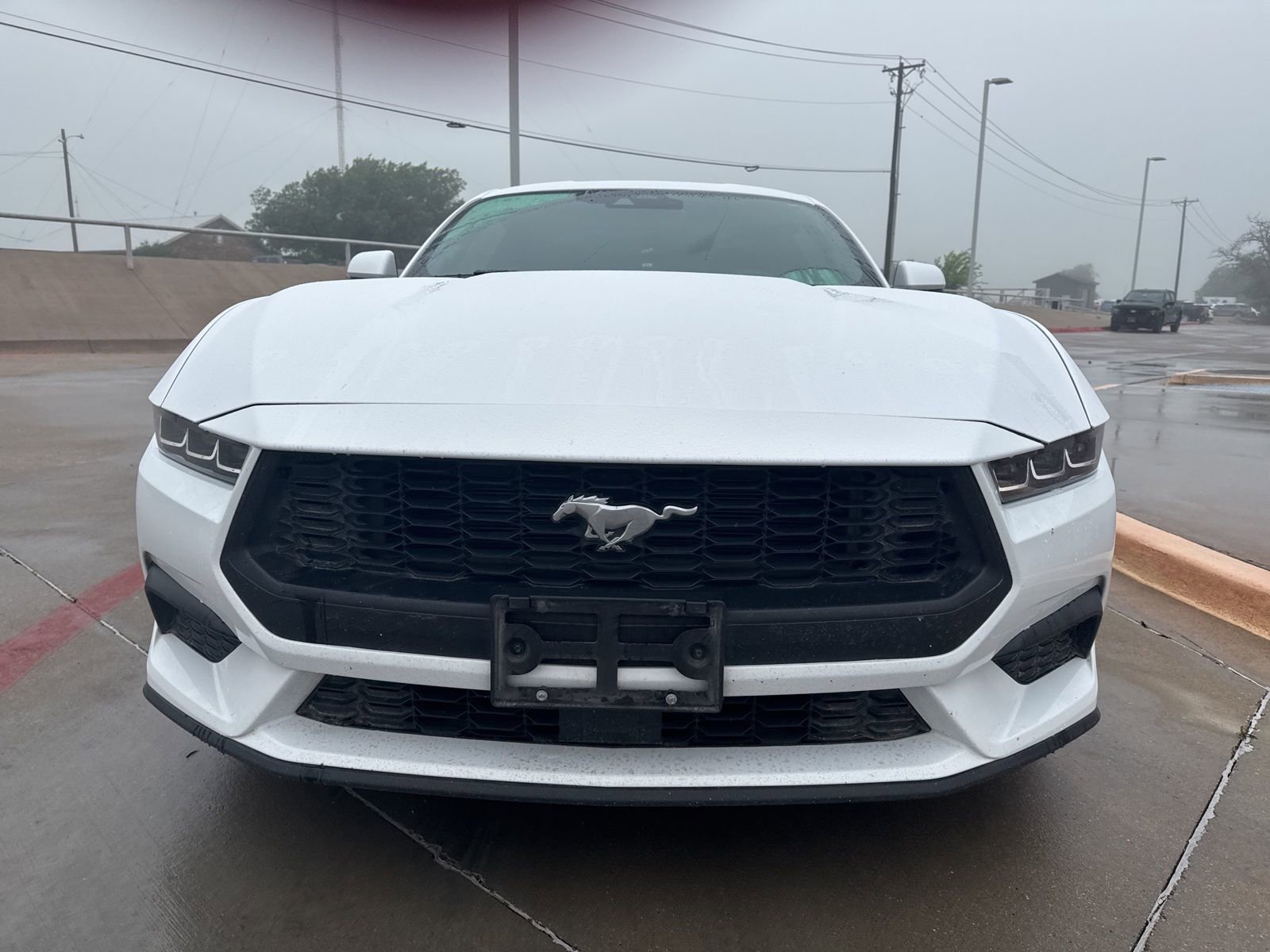 Used 2025 Ford Mustang Coupe RWD image 8