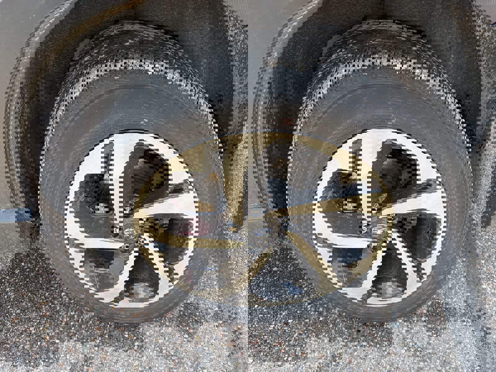 Used 2024 Subaru Forester Touring image 7