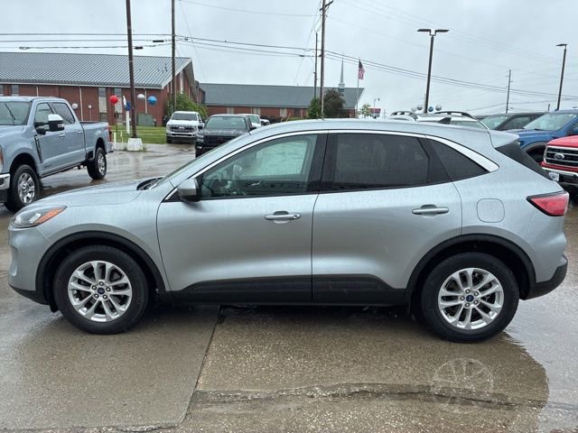 Used 2021 Ford Escape SE w/ Cold Weather Package FWD image 4