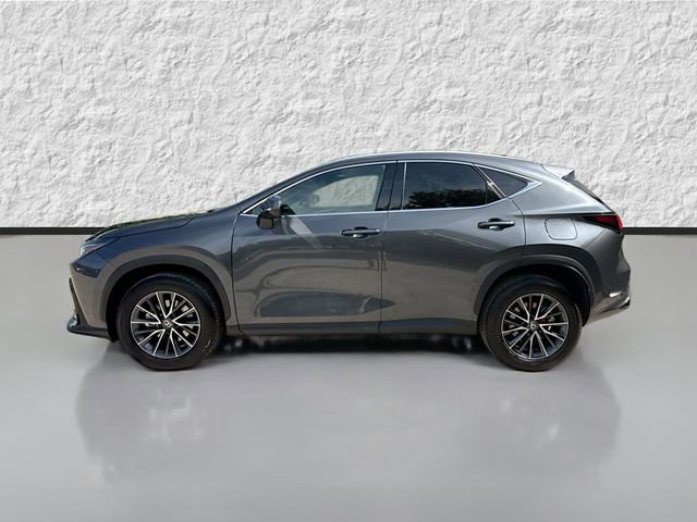Used 2025 Lexus NX 350 AWD w/ Accessory Package (Z1) image 6