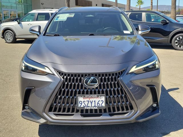 Used 2025 Lexus NX 350h AWD w/ Cold Area Package image 32