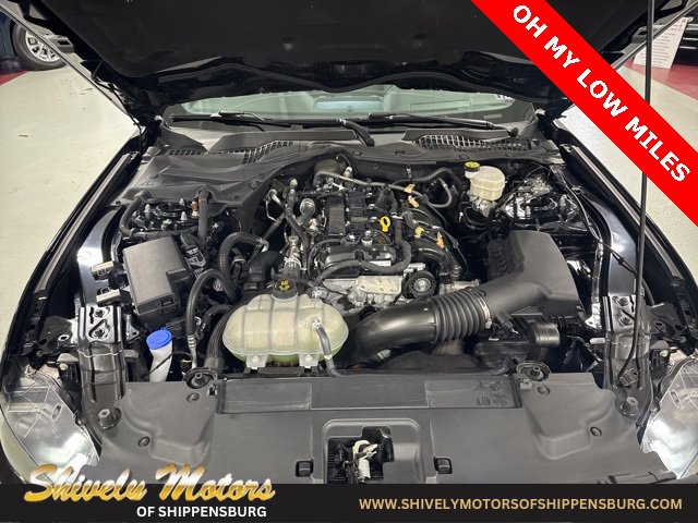 Used 2022 Ford Mustang EcoBoost image 10