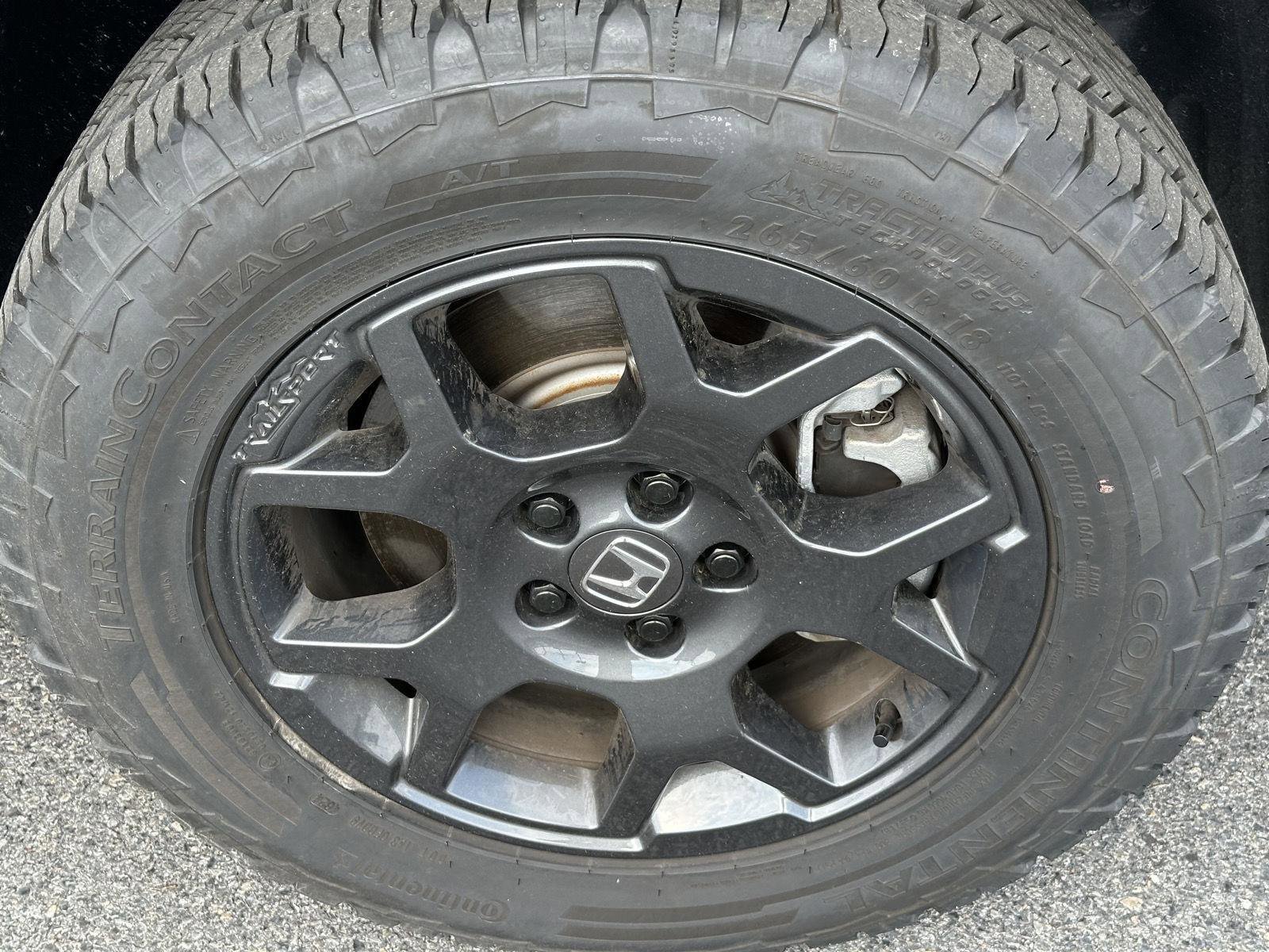 Certified 2025 Honda Pilot TrailSport image 10