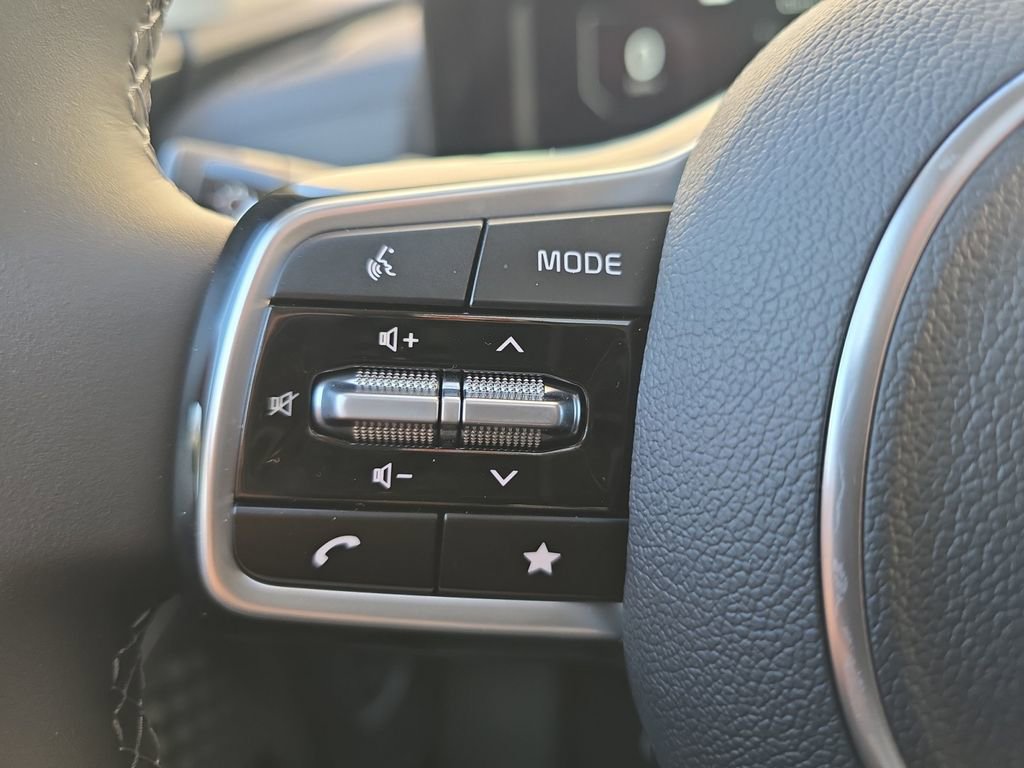 New 2026 Kia Carnival SX w/ SX Dark Edition Package image 33