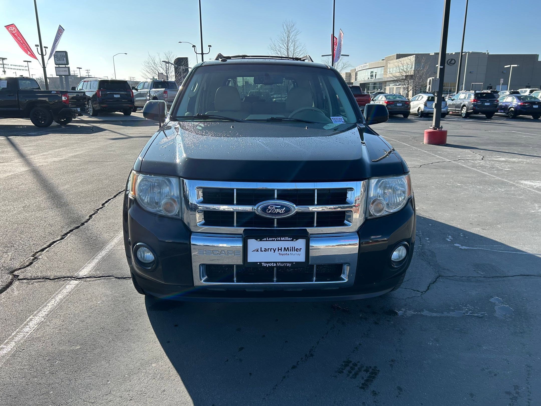 Used 2010 Ford Escape Limited image 8