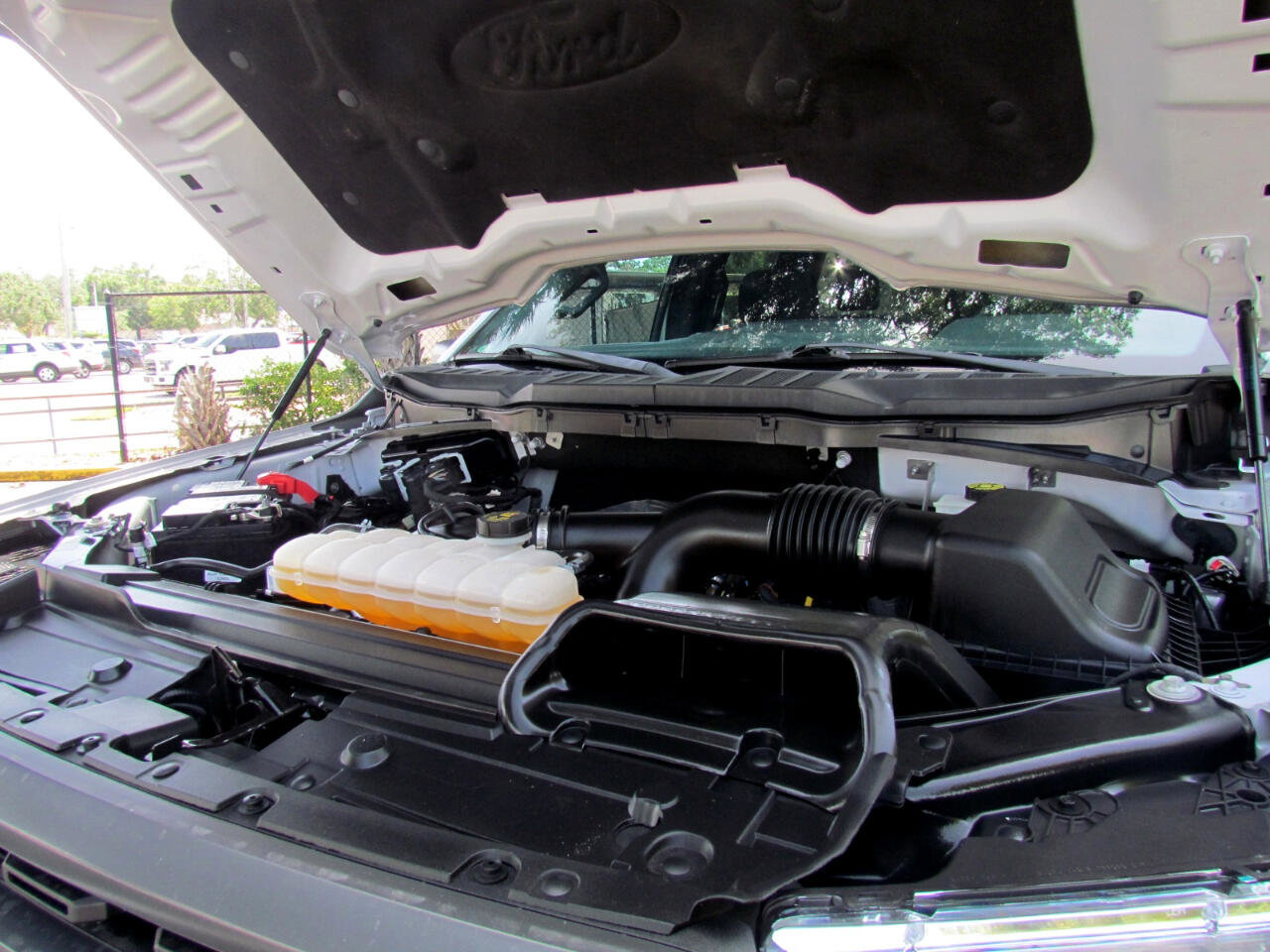 Used 2021 Ford F150 XLT w/ Equipment Group 302A High image 37