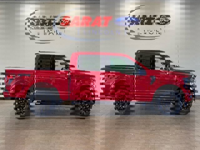 New 2025 Ford F150 XLT