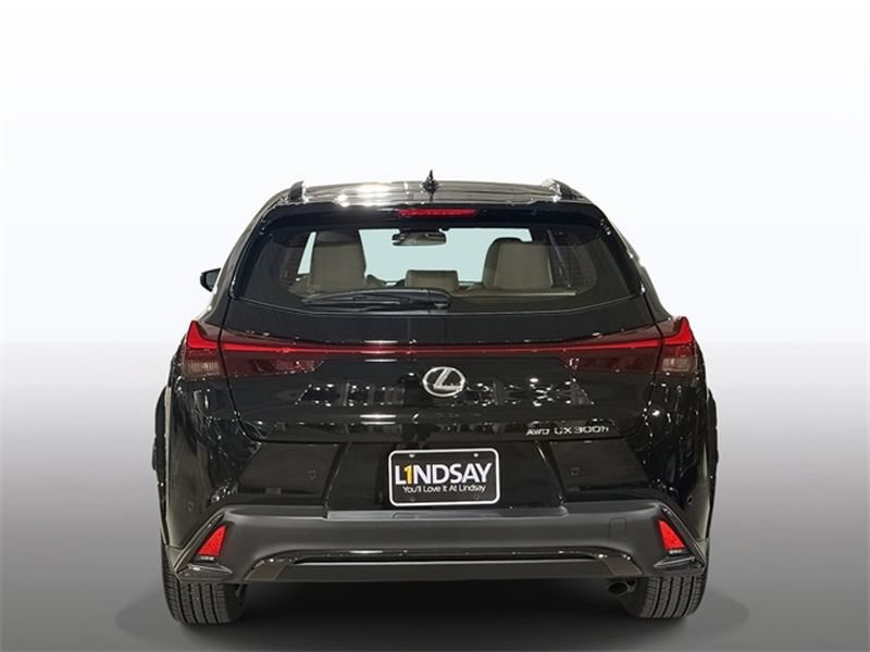 New 2025 Lexus UX 300h AWD image 10
