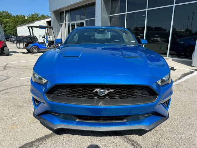 Used 2021 Ford Mustang EcoBoost image 2