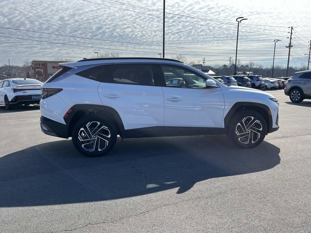 Certified 2025 Hyundai Tucson Limited image 4