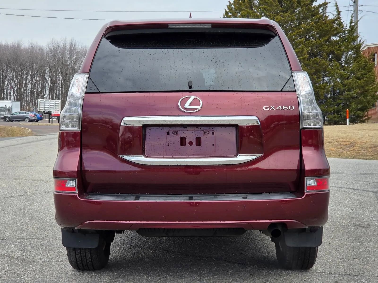 Used 2019 Lexus GX 460 Premium image 6