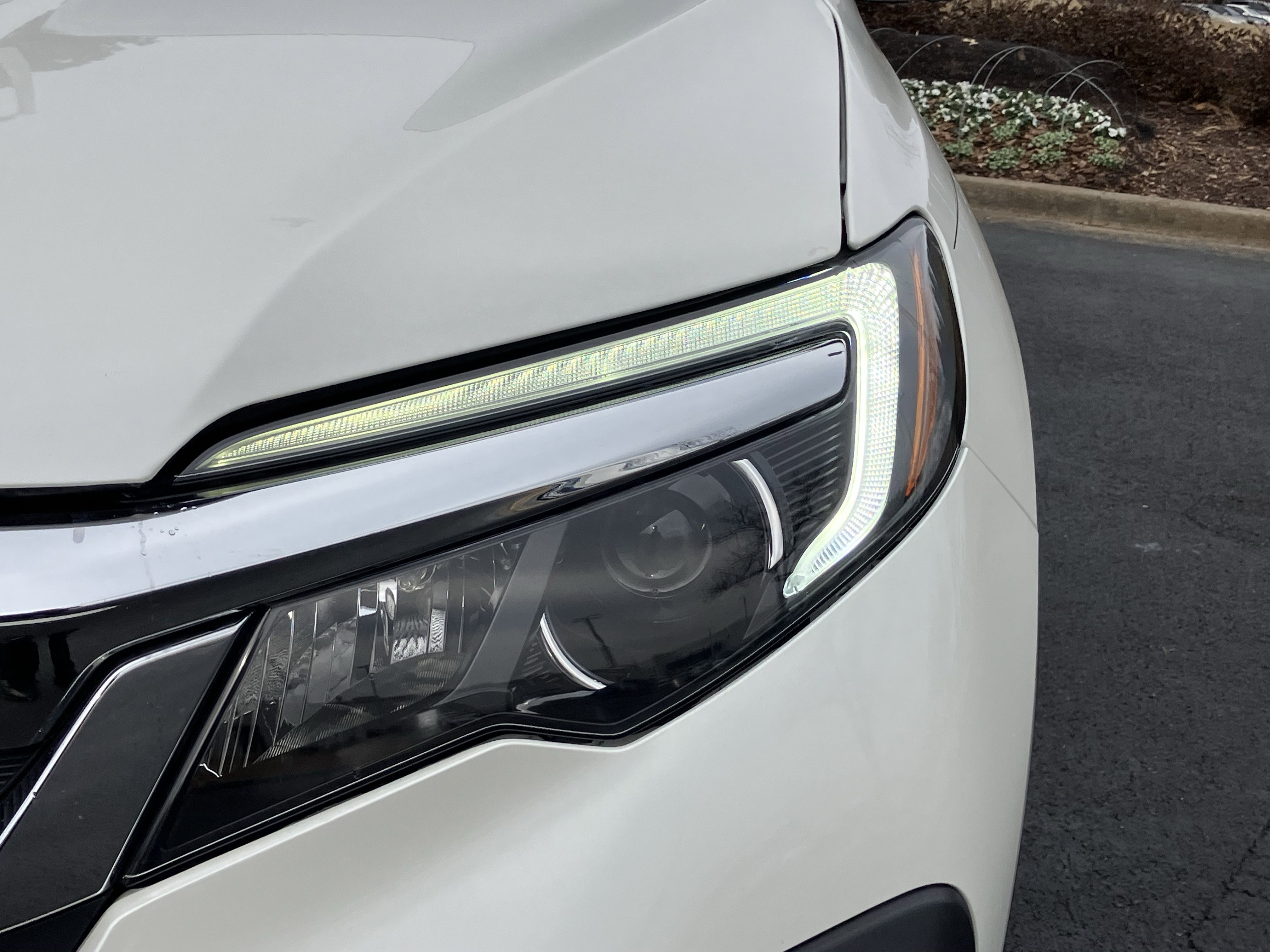 Certified 2019 Honda Pilot EX-L image 5