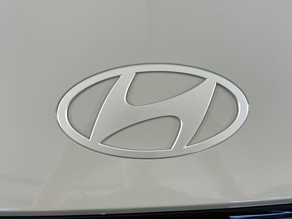New 2027 Hyundai Ioniq 5 Limited RWD image 22