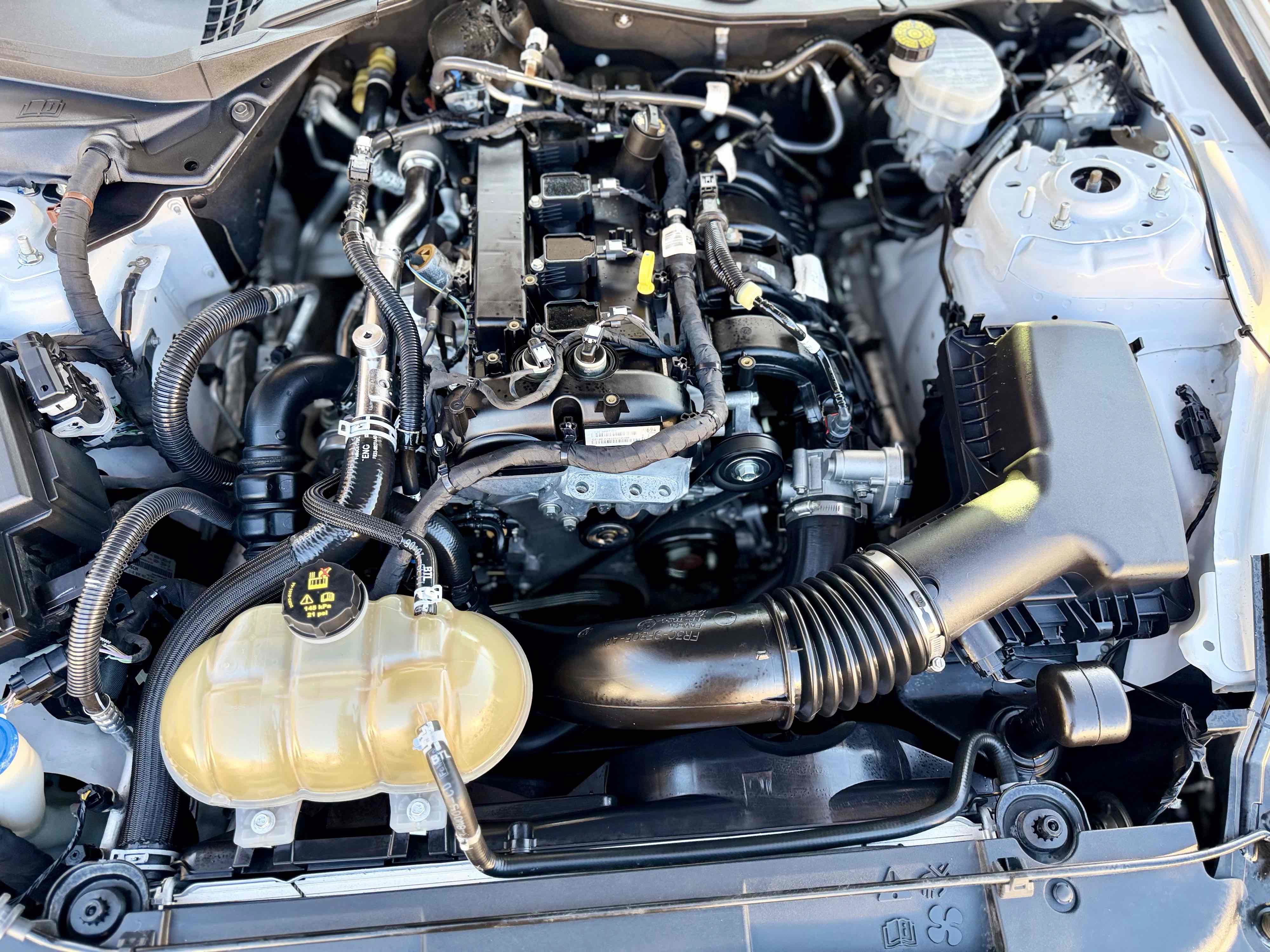 Used 2021 Ford Mustang Premium RWD image 30