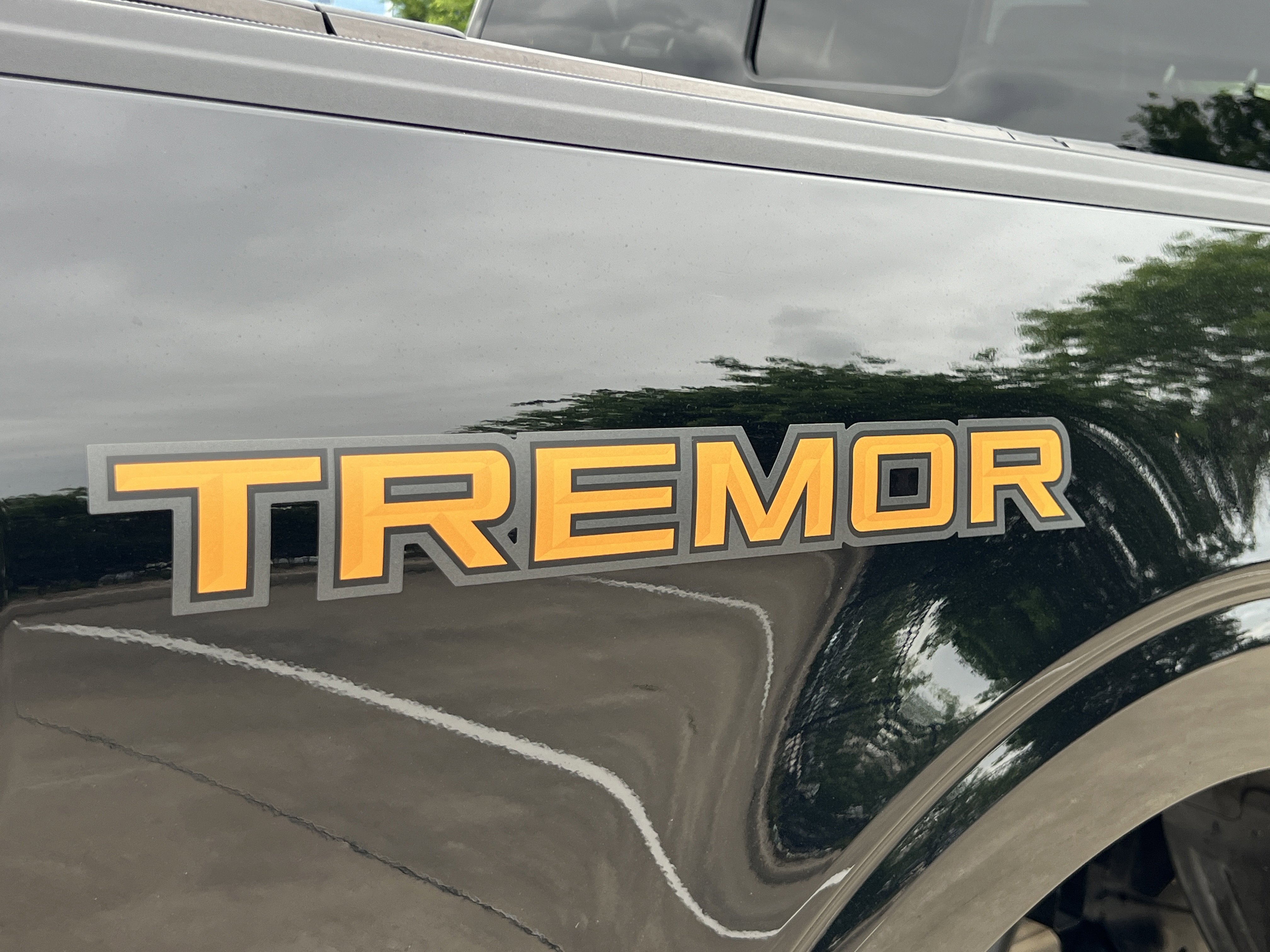 Used 2025 Ford F150 Tremor image 13