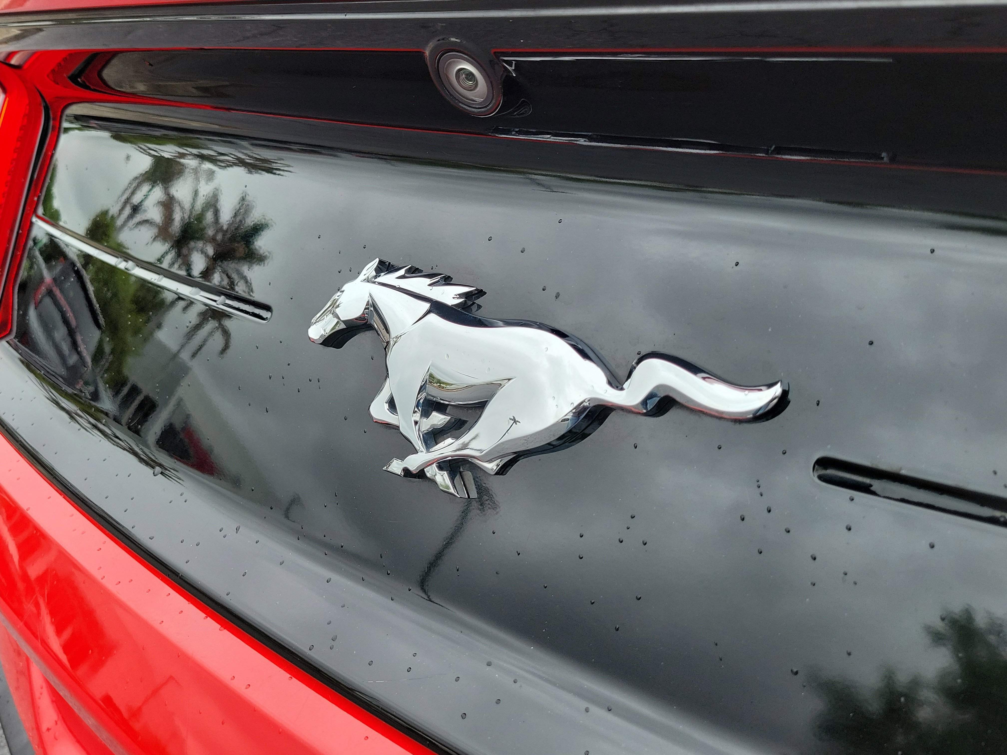 Used 2022 Ford Mustang Premium RWD image 8