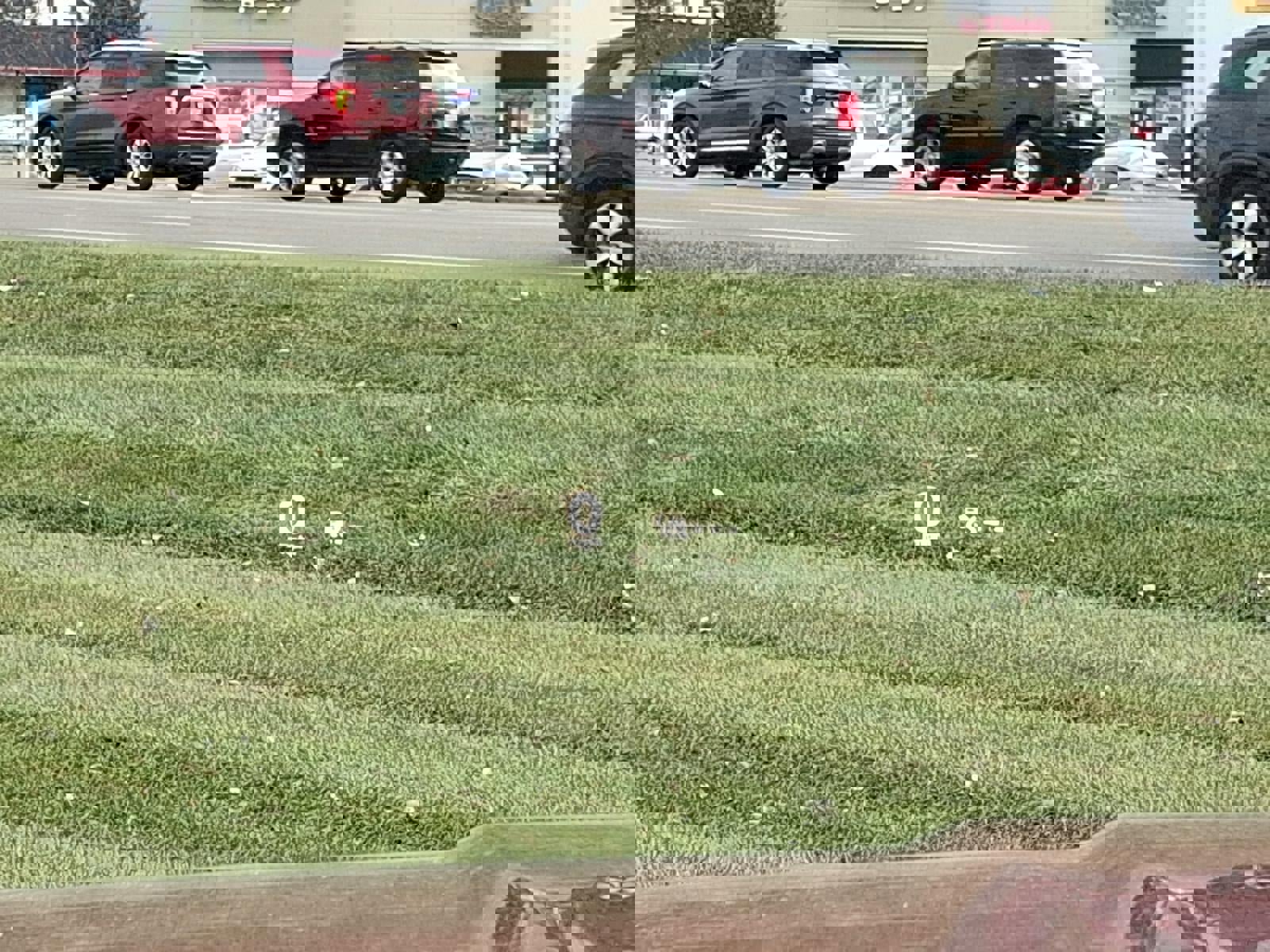 Used 2023 MAZDA CX-50 AWD 2.5 Turbo w/ Weather Package image 16