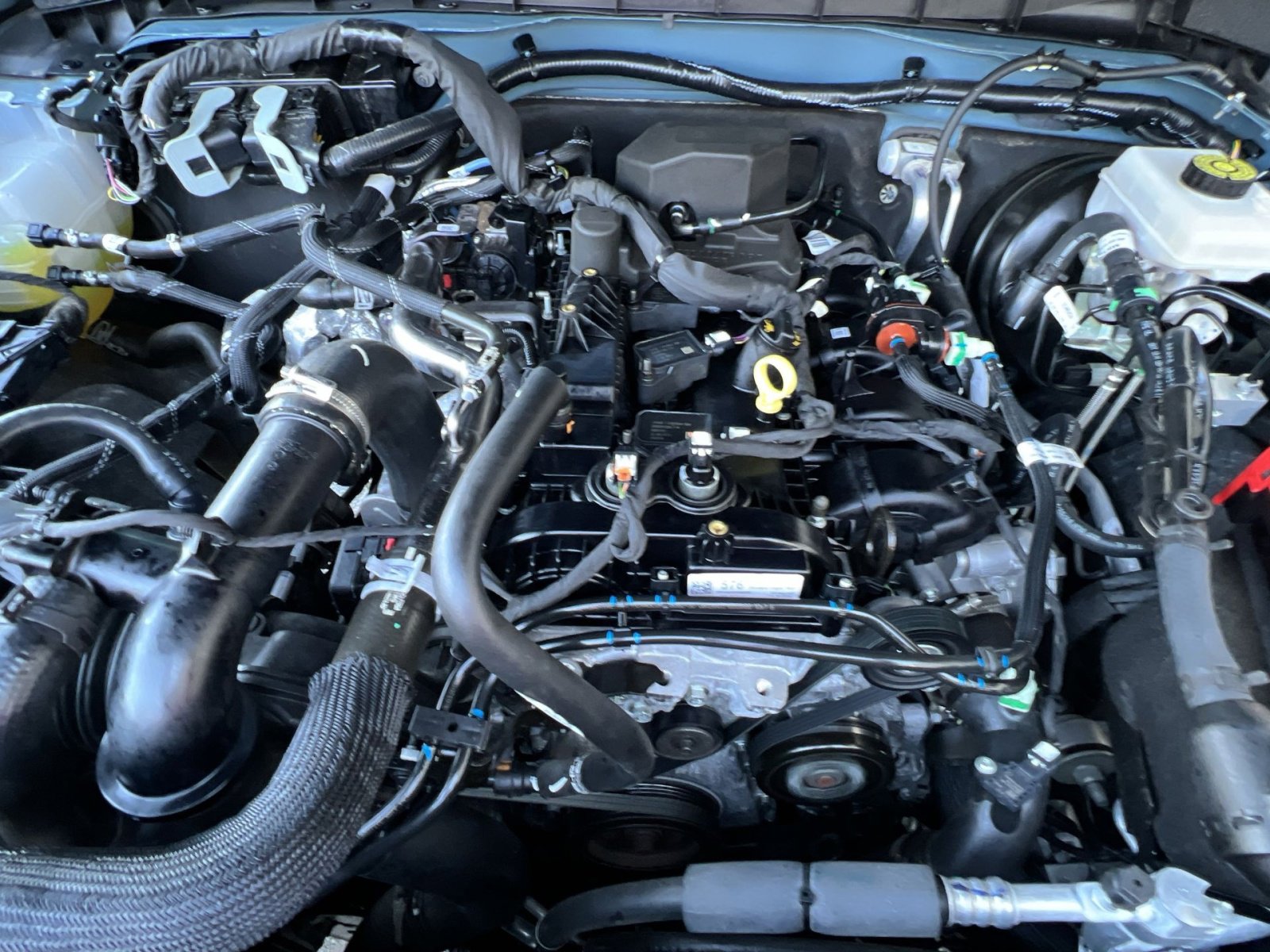 Used 2023 Ford Bronco Black Diamond image 26